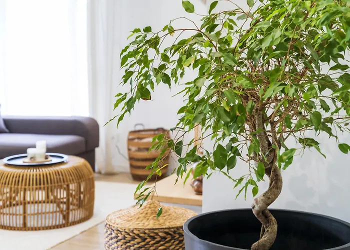 Iguski Dom wakacyjny *